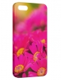 Чехол для iPhone 5/5S, Цветы