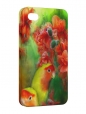 Чехол iPhone 4/4S, Попугаи