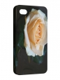 Чехол iPhone 4/4S, роза