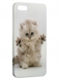 Чехол для iPhone 5/5S, котенок