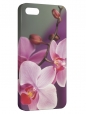 Чехол для iPhone 5/5S, Орхидея