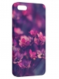 Чехол для iPhone 5/5S, Цветы