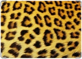 Обложка на паспорт с уголками, Леопард