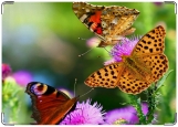 Обложка на паспорт с уголками, бабочки на цветах