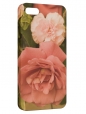 Чехол для iPhone 5/5S, розы