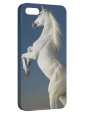 Чехол для iPhone 5/5S, Белый конь