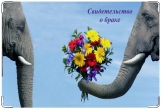 Обложка для свидетельства о рождении, слоны