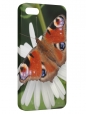 Чехол для iPhone 5/5S, бабочки