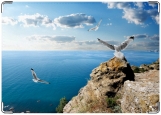 Обложка на паспорт с уголками, Крым, море и птицы