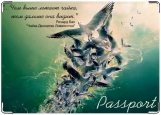 Обложка на паспорт с уголками, Чайка Джонатан Ливингстон