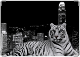 Обложка на паспорт с уголками, Ночной тигр