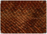 Обложка на автодокументы с уголками, Nature: Snake Skin
