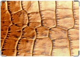 Обложка на автодокументы с уголками, кожа крокодила №1 права