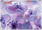 Обложка на автодокументы с уголками, Фиолетовый цветок