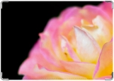 Обложка на паспорт с уголками, Нежно - розовый цветок