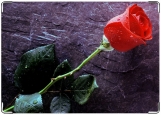 Обложка на паспорт с уголками, Rose