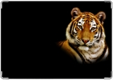 Обложка на паспорт с уголками, тигр