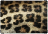 Обложка на паспорт с уголками, леопард