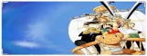 Обложка на зачетную книжку, one piece