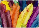 Обложка на паспорт с уголками, разноцветные перья