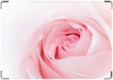 Обложка на автодокументы с уголками, Розовая роза