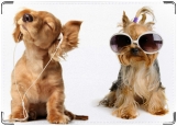 Обложка на паспорт с уголками, Funny dogs