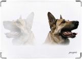 Обложка на паспорт с уголками, собака