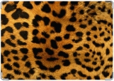 Обложка на паспорт с уголками, леопард