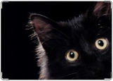 Обложка на паспорт с уголками, черный кот
