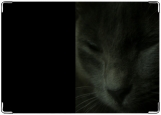 Обложка на паспорт с уголками, Сумеречная кошка