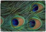 Обложка на автодокументы с уголками, павлиньи перья