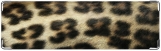 Визитница/Картхолдер, светлый леопард