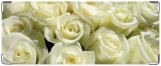 Обложка на студенческий, белые розы