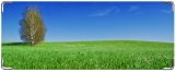 Кошелек, windows