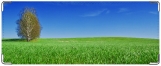 Обложка на студенческий, windows