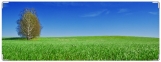 Обложка на зачетную книжку, windows