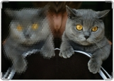 Обложка на автодокументы с уголками, кот