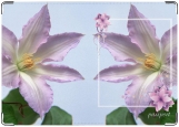 Обложка на паспорт с уголками, лилия