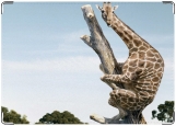 Обложка на паспорт с уголками, Жираф на дереве.