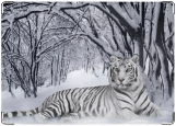 Обложка на паспорт с уголками, Белый Тигр