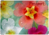 Обложка на паспорт с уголками, Роса