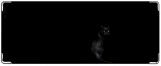 Кошелек, черная кошка