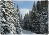 Обложка на автодокументы с уголками, Зимний лес
