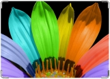Обложка на паспорт с уголками, Colorful_Flower