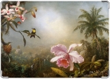 Обложка на автодокументы с уголками, Орхидея и колибри
