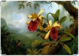 Обложка на автодокументы с уголками, Орхидеи