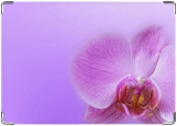 Обложка на автодокументы с уголками, Орхидея