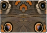 Обложка на паспорт с уголками, Крыло бабочки