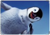 Обложка на паспорт с уголками, пингвиненок