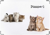 Обложка на паспорт с уголками, котятки